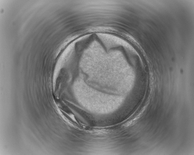 X0000052571041200507292001