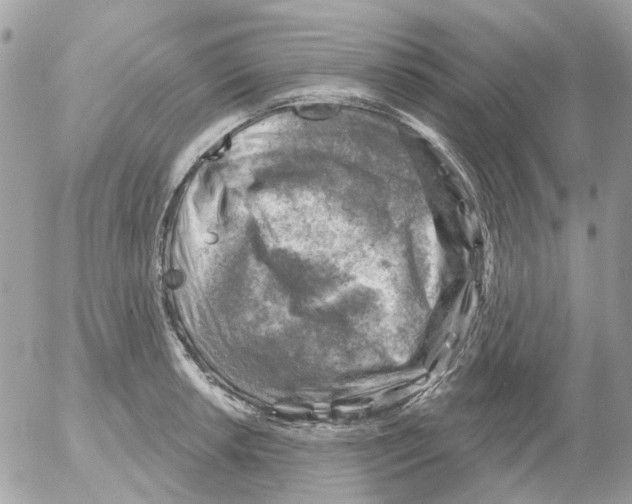 X0000052571042200507292001