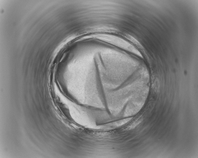 X0000052571043200507292001