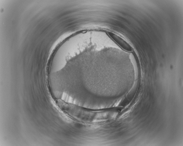 X0000052571045200507292001