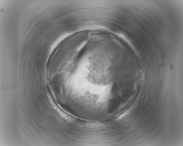 X0000052571046200507292001