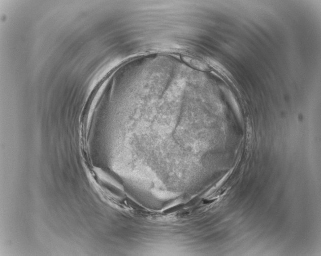 X0000052571047200507292001