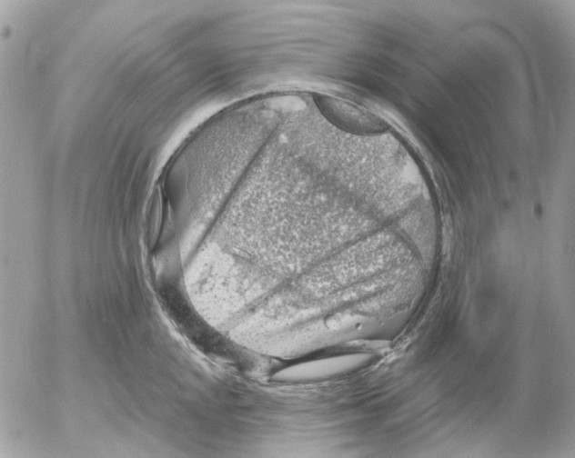 X0000052571048200507292001