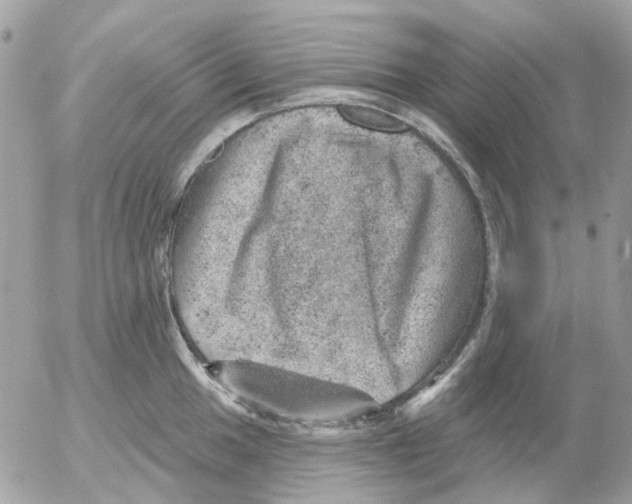 X0000052571049200507292001