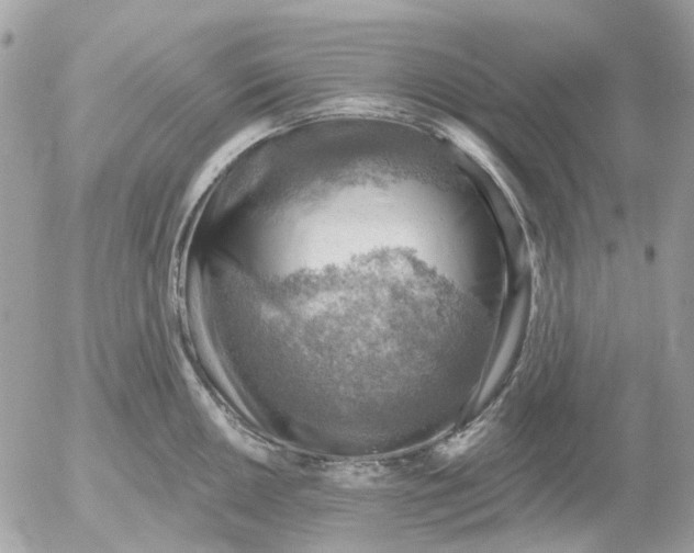 X0000052571050200507292001