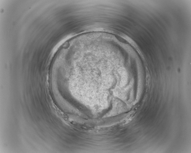 X0000052571051200507292001