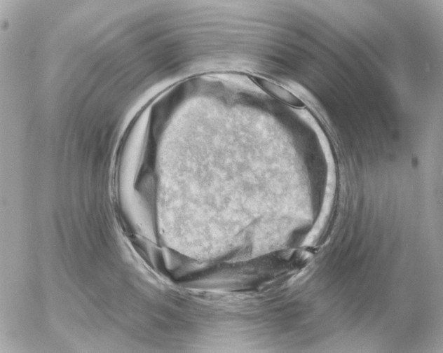 X0000052571052200507292001