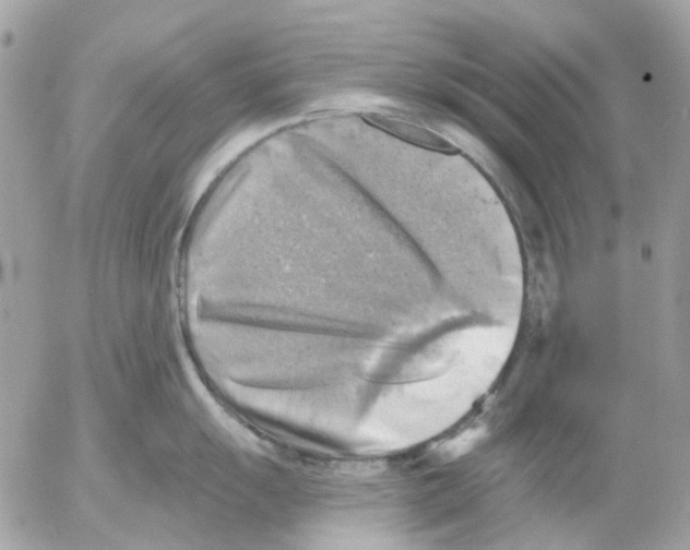 X0000052571055200507292001