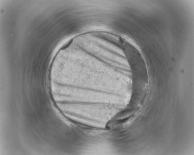 X0000052571056200507292001