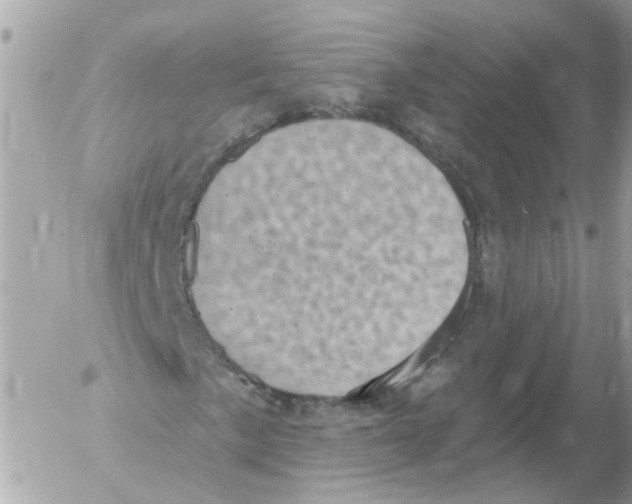 X0000052571057200507292001