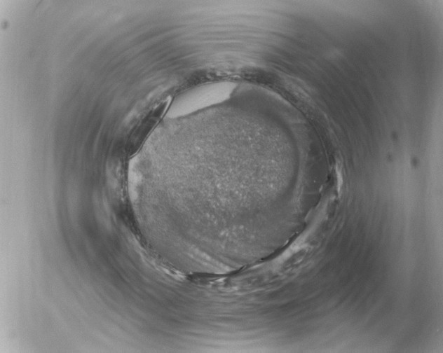 X0000052571060200507292001