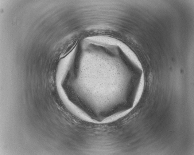 X0000052571062200507292001