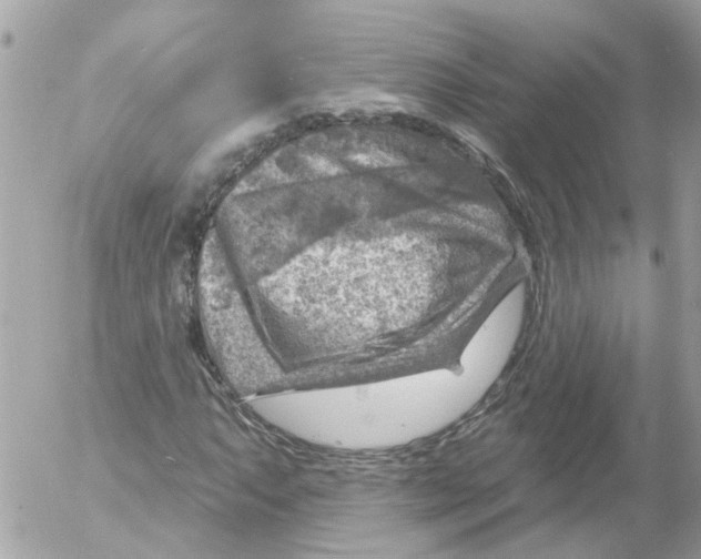 X0000052571063200507292000