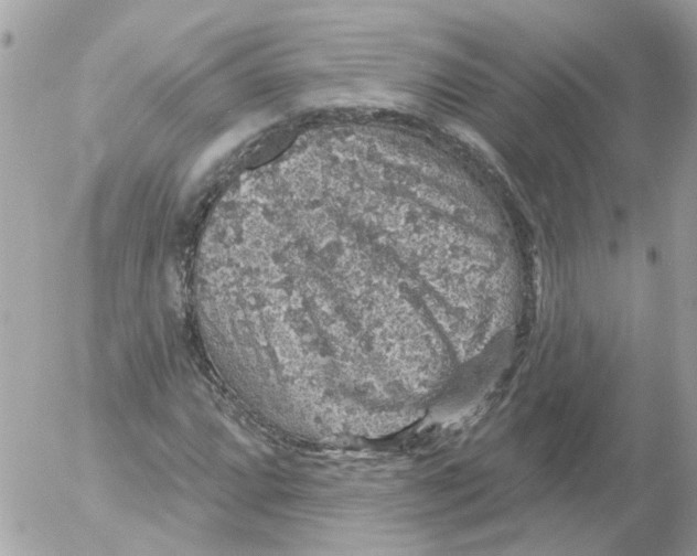 X0000052571064200507292000