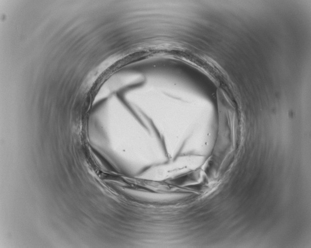 X0000052571065200507292000