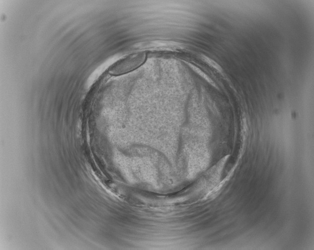 X0000052571066200507292000