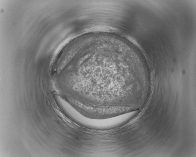 X0000052571067200507292000