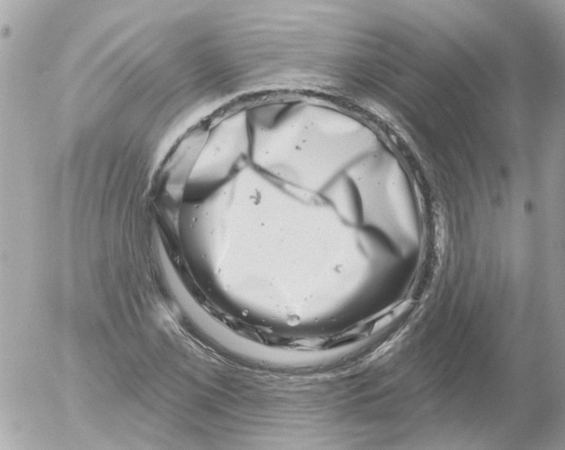 X0000052571069200507292000