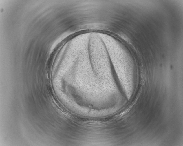 X0000052571070200507292000