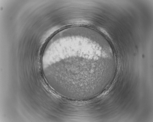 X0000052571071200507292000