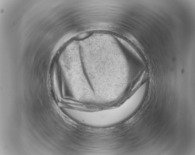 X0000052571072200507292000