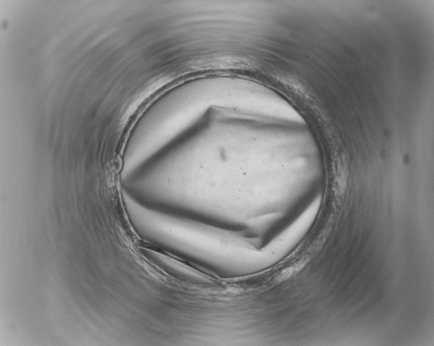 X0000052571073200507292000