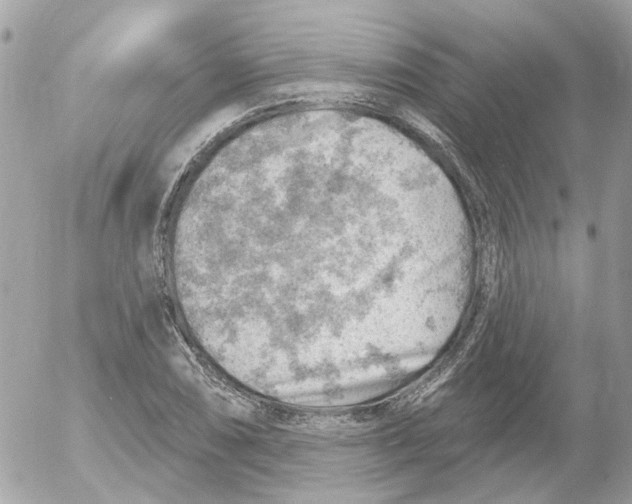 X0000052571074200507292000