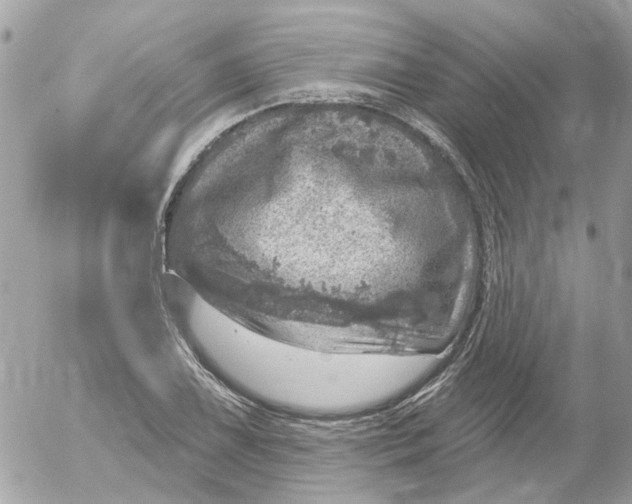 X0000052571075200507292000