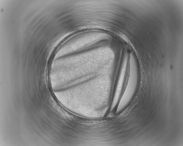 X0000052571076200507292000