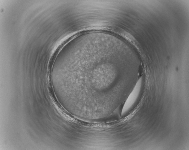 X0000052571077200507292000