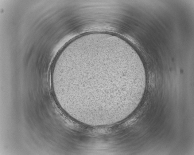 X0000052571078200507292000