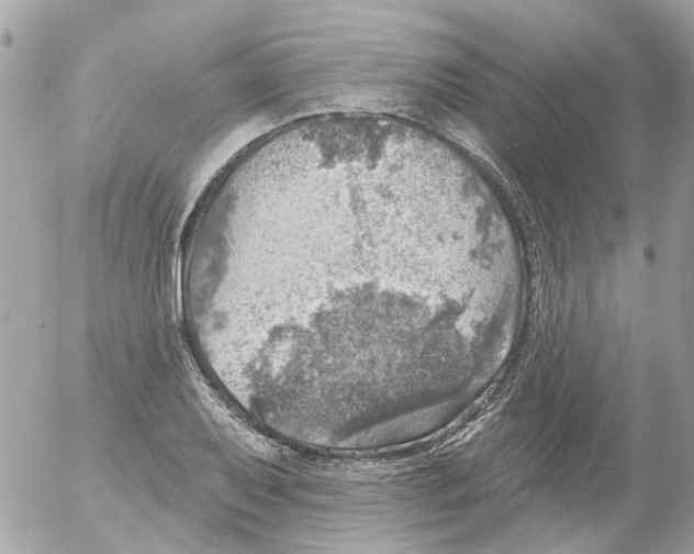 X0000052571079200507292000