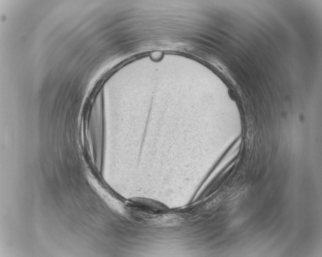 X0000052571080200507292000