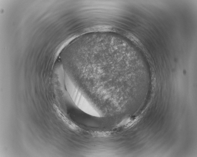 X0000052571081200507292000