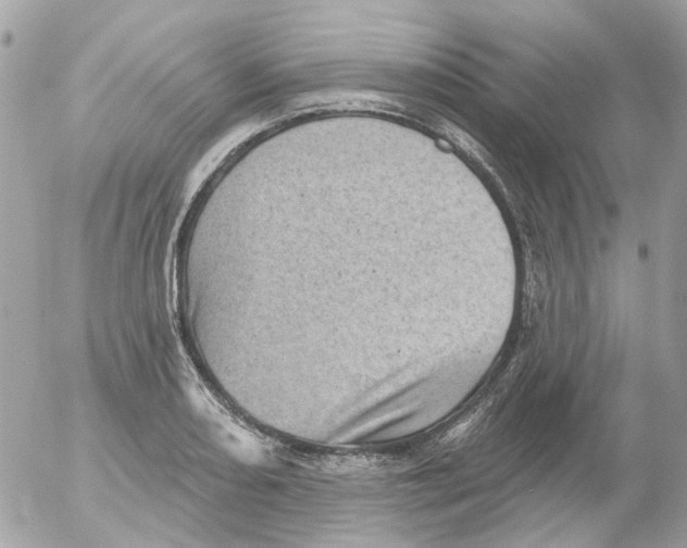 X0000052571082200507292000