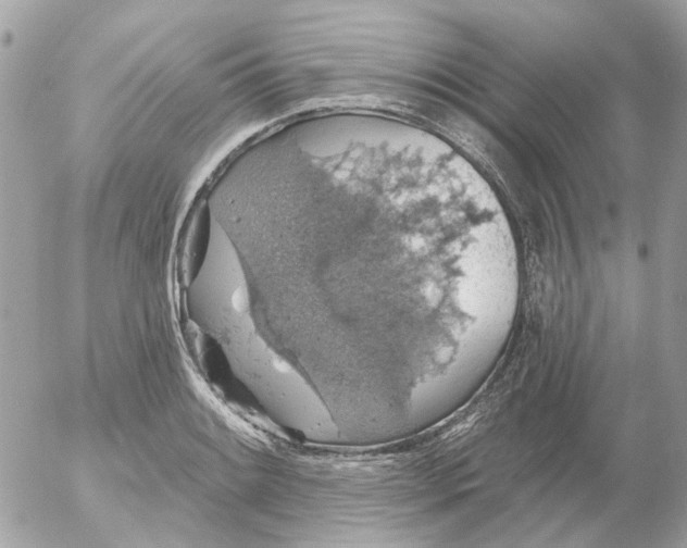 X0000052571084200507292000