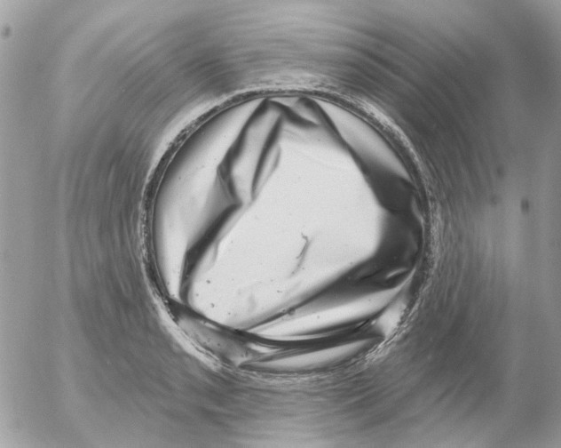 X0000052571085200507292000