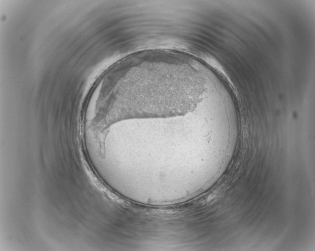 X0000052571088200507292000