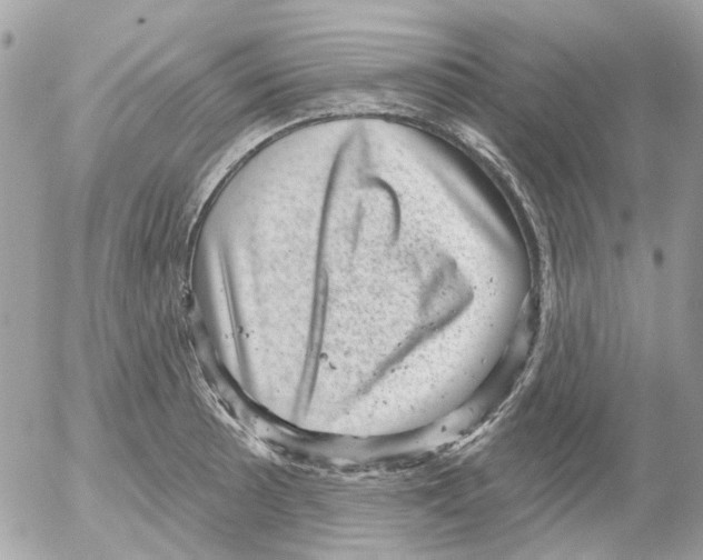 X0000052571089200507292000