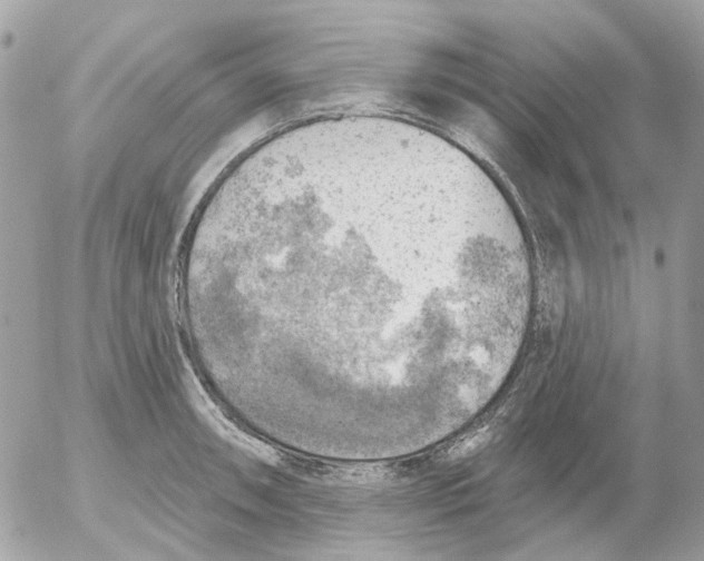 X0000052571090200507292000