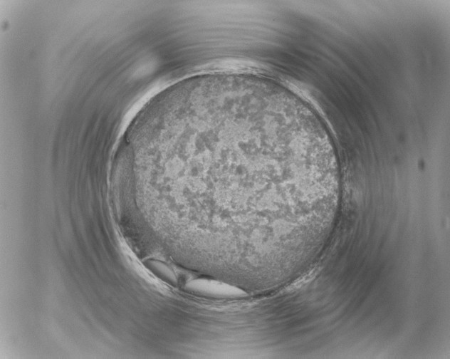 X0000052571091200507292000