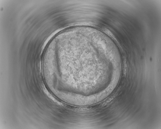 X0000052571092200507292000