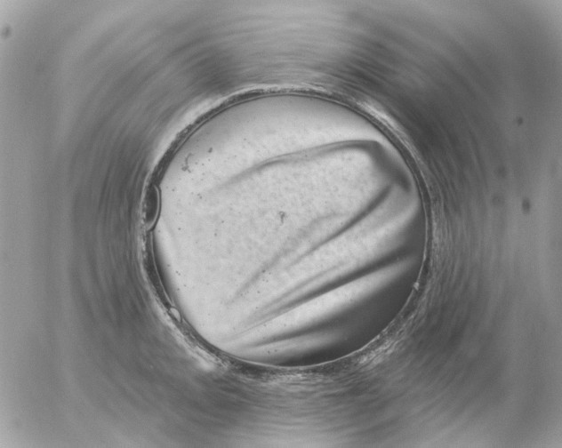 X0000052571093200507292000