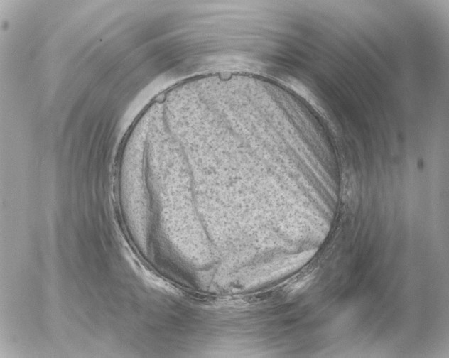 X0000052571094200507292000