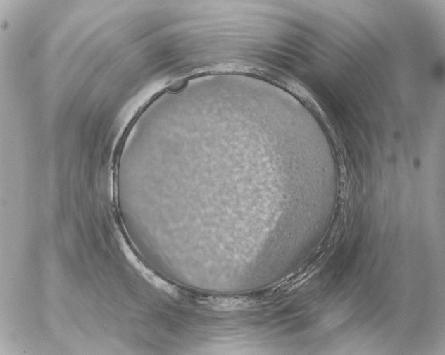 X0000052571095200507292000