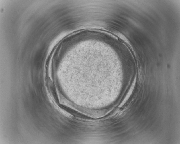 X0000052571096200507292000