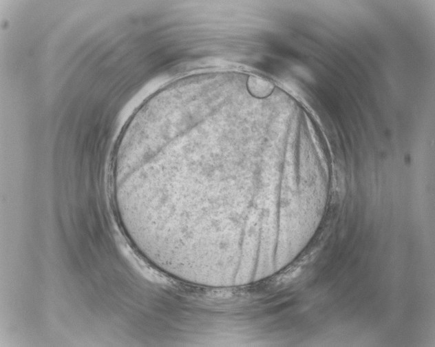 X0000052571098200507292000