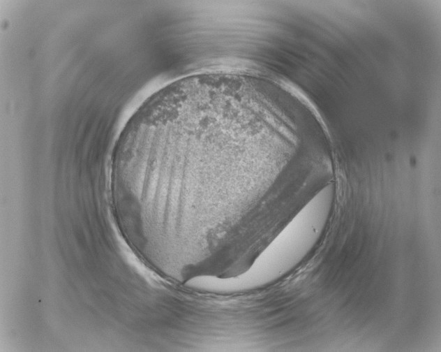 X0000052571099200507292000