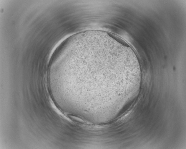 X0000052571100200507292000