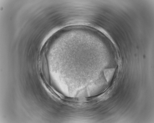 X0000052571101200507292000